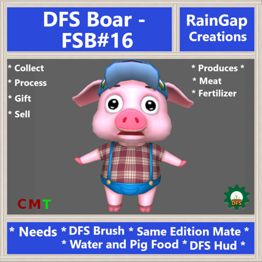 DFS Boar FSB#16 ACTUAL ITEM