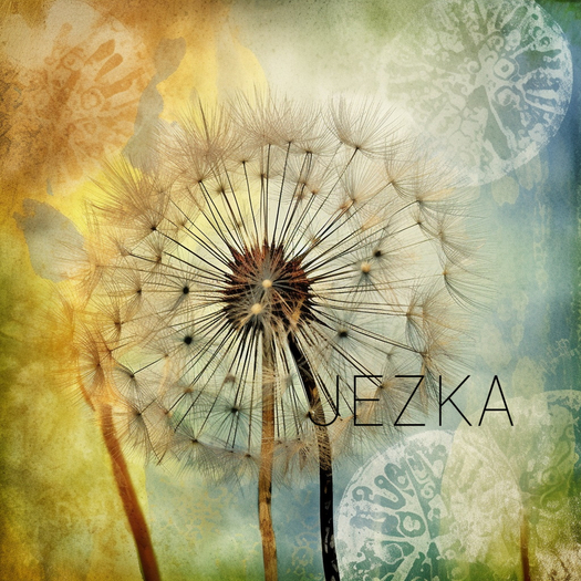 JEZKA - Full Perm Texture 251