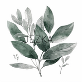 JEZKA - Full Perm Texture 261