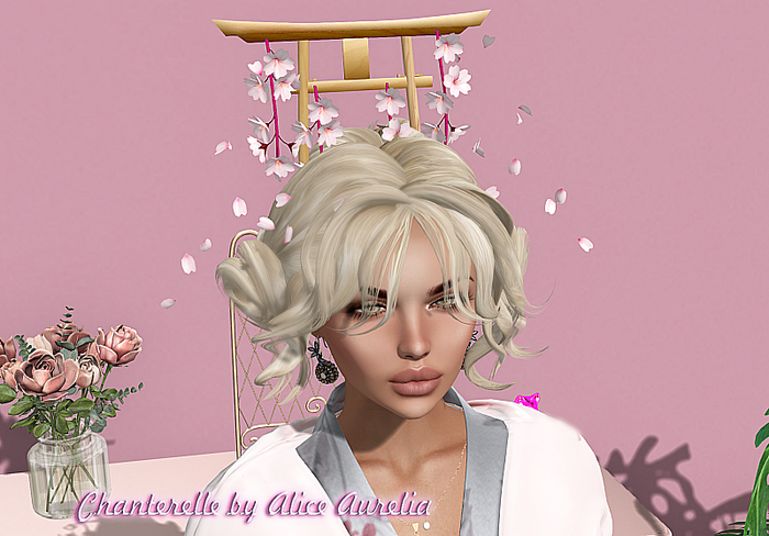 *N*Torii HairDress #B-2