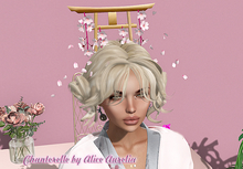 *N*Torii HairDress #B-2