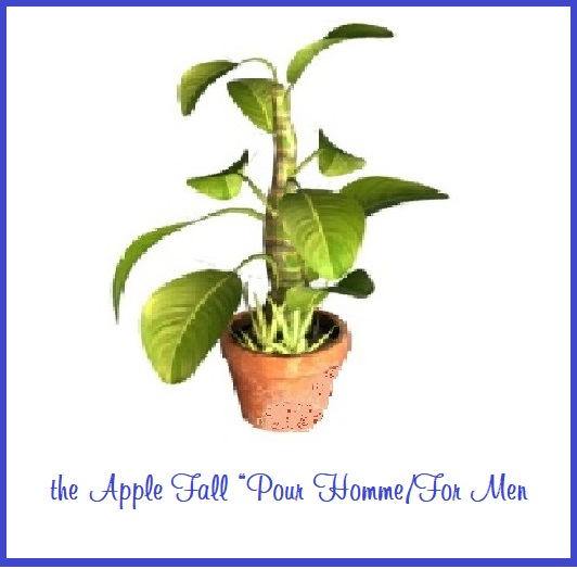 AF Potted Plant (Exotic)