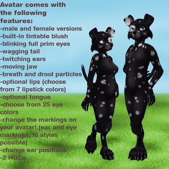inverted dalmatian