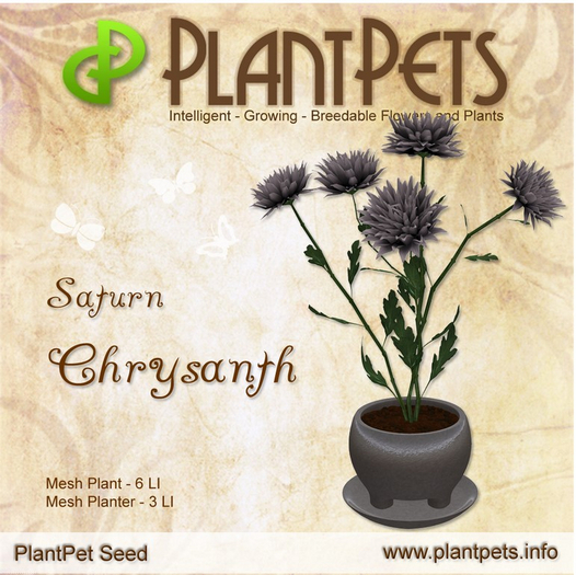 PlantPet Seed [Chrysanth *Saturn*]