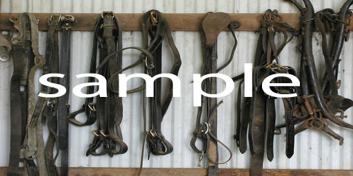 stable wall with tack