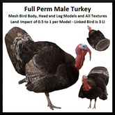 Full Perm Male Turkey