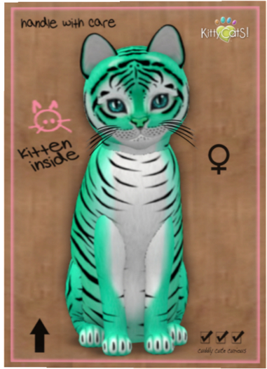 KittyCatS Box - Tiger! - Seafoam
