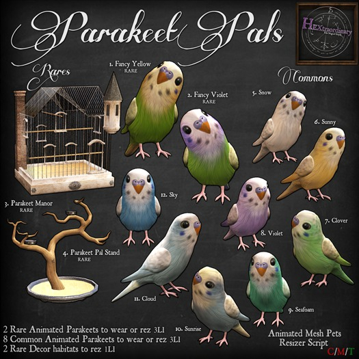 *HEXtraordinary* Parakeet Manor Cage RARE