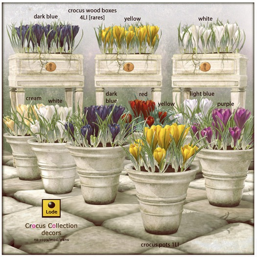 *LODE* Decor - Crocus Wood Box [yellow] RARE