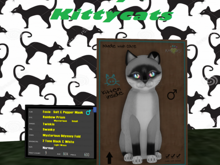 M/Foxie - Salt & Pepper Mask