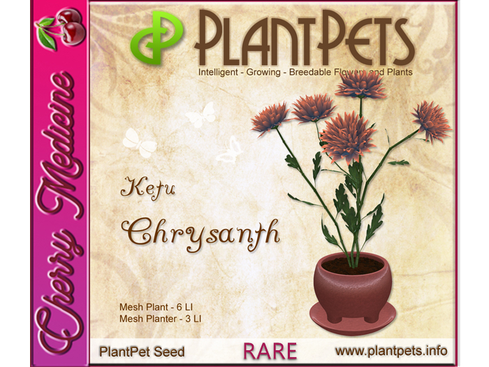 PlantPet Seed [Chrysanth *Ketu*]
