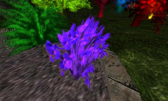 Pandoran Orchids