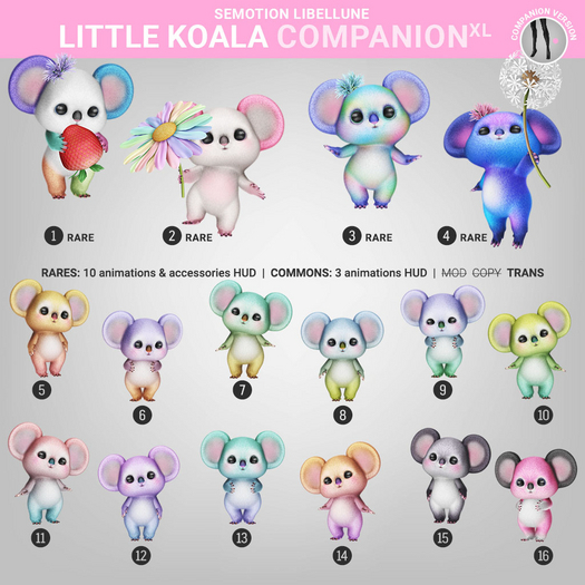 4. SEmotion Libellune Little Koala XL Companion RARE