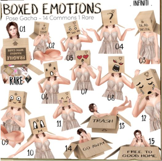 . Infiniti . - Boxed Emotions - 11 - Kitten