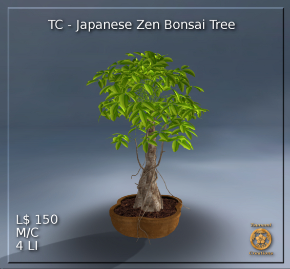 TC - Japanese Zen Bonsai Tree