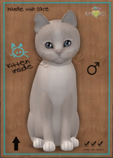 KittyCatS Box 115