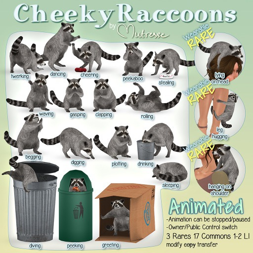 Mutresse-Cheeky Raccoons-Waving