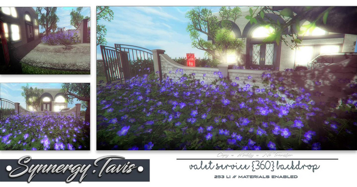 SYNNERGY.TAVIS//Valet Service {360} Backdrop 