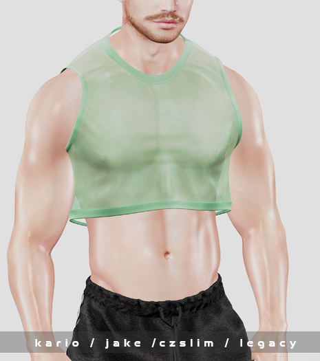 Manson * Lexy crop top * Sheer green