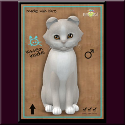 KittyCatS Box - Delirium II