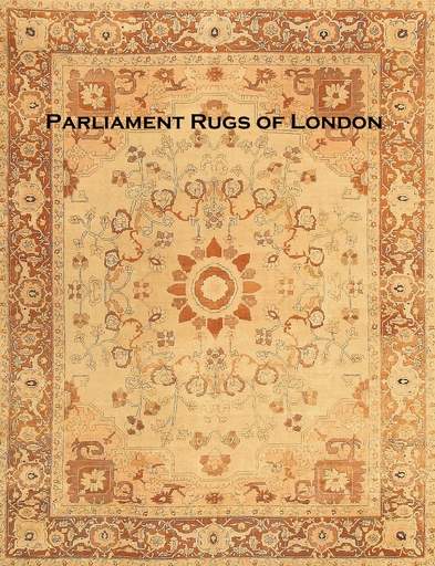 Amritsar Rug 8