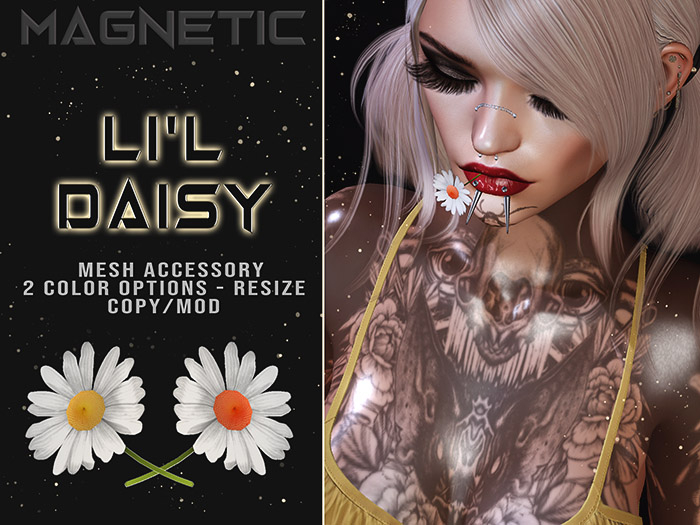 Magnetic - Li'l Daisy