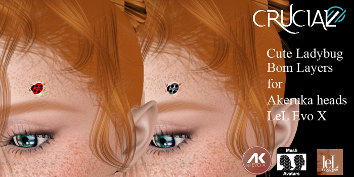 Crucial - Cute Ladybug
