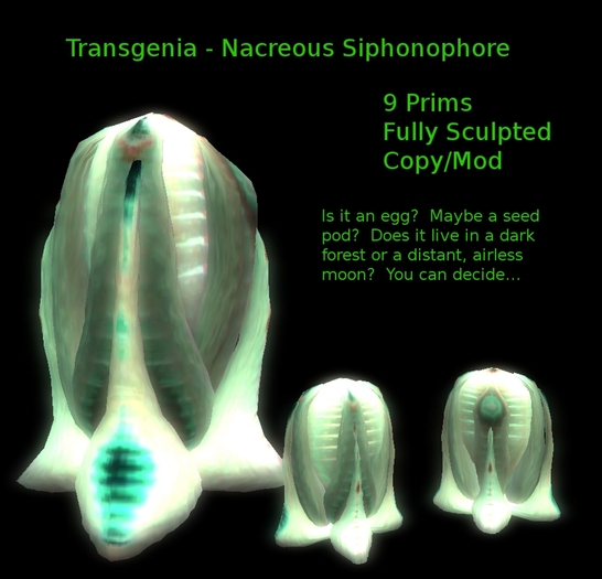Nacreous Siphonophore