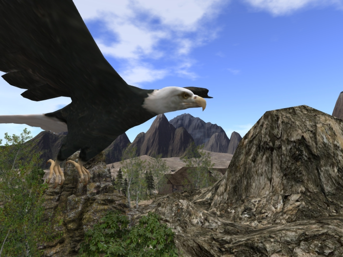 >VAL< Bald Eagle Flying