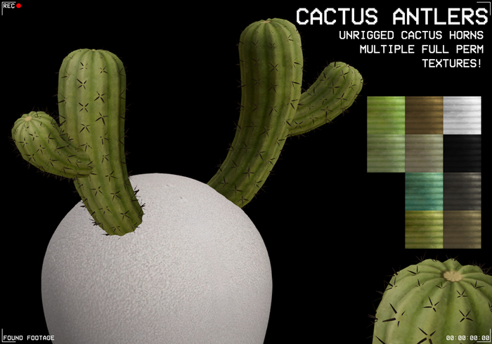 Found Footage - Cactus Antlers