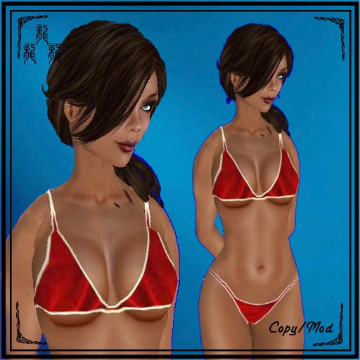 Sexy Red Bikini