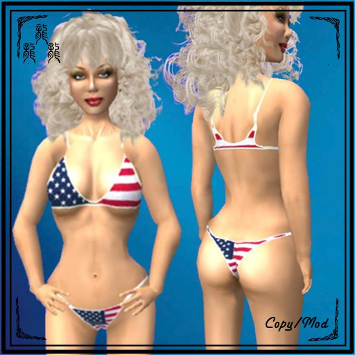 USA Flag Bikini