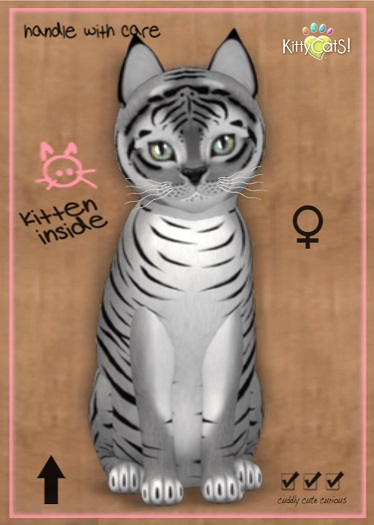 MEGAPUSS: KittyCatS Box - Tiger! - Shadow - MegaPuss