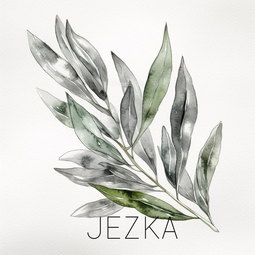 JEZKA - Full Perm Texture 315