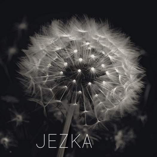 JEZKA - Full Perm Texture 313
