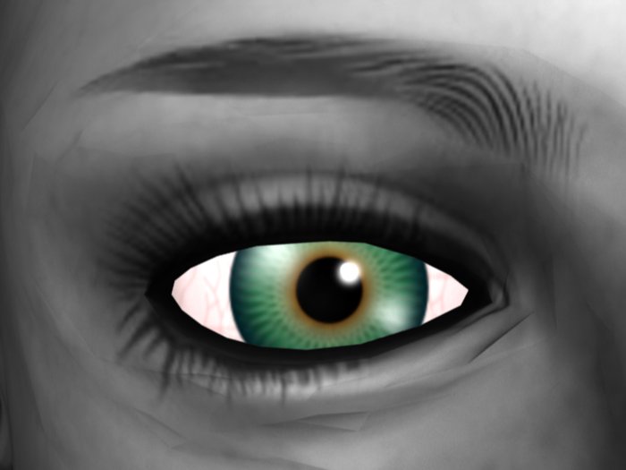 -=MY=- doll eye set (10 colors)