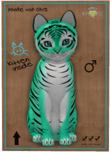 KittyCatS Box - Tiger! - Seafoam
