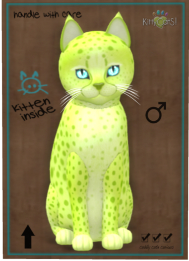 KittyCatS Box - Cheetah! - Lime No. 2