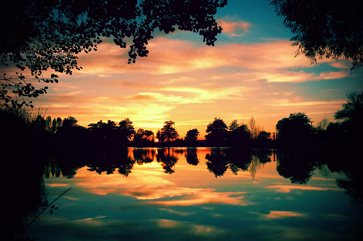 Sunset over the pond privacy wall