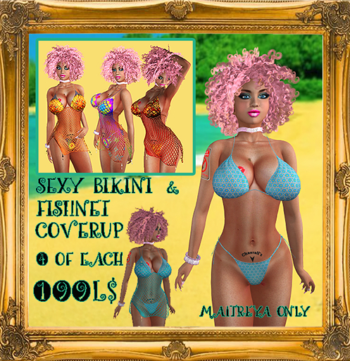 Sexy Bikini & Fishnet Coverup 