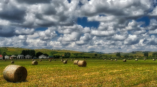 Cloudy Farmland privacy wall