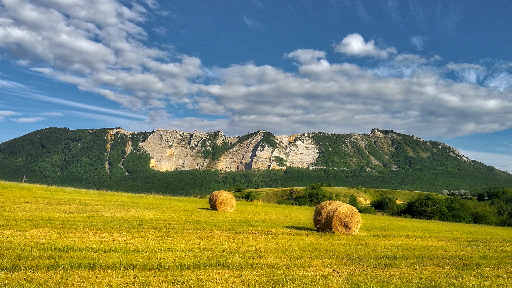 Farmland privacy wall