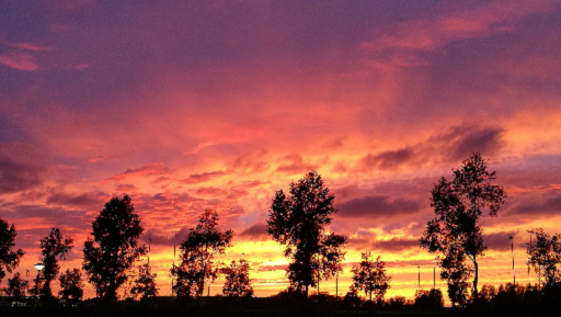 Pink sky privacy wall