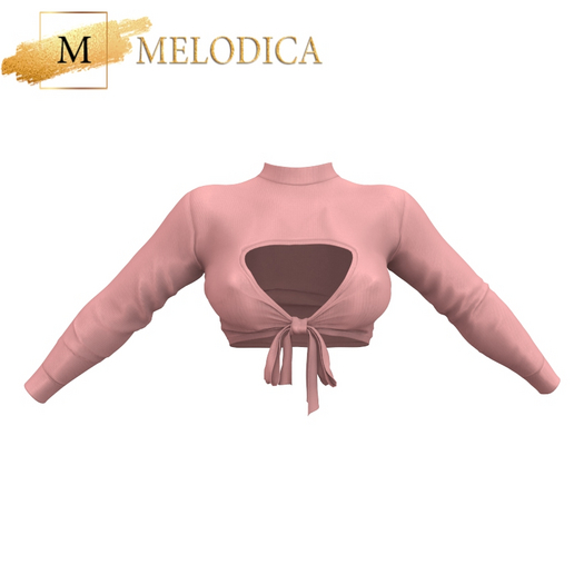 Peach Aly Top Reborn