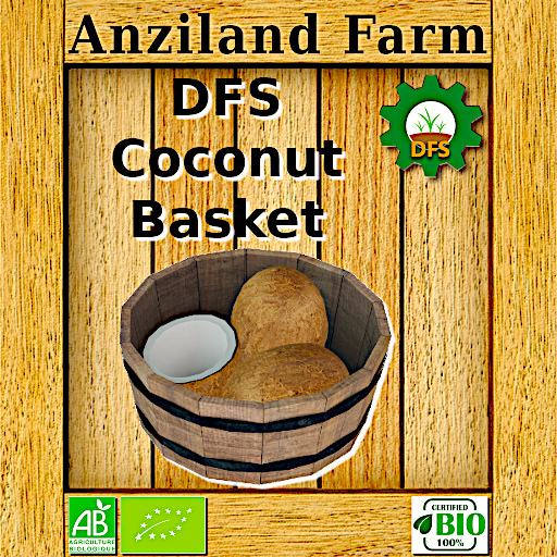 DFS Coconut Basket