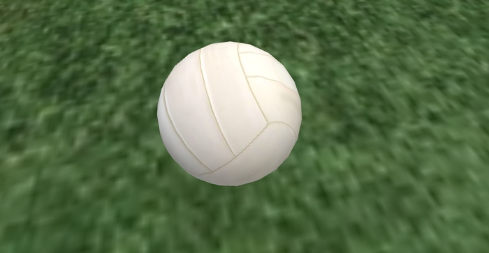 TM Volleyball - FP - Full Permissions