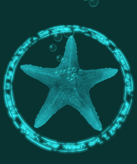 {Papillon} Starfish Tier°3 Small/Dull,〘Crazy Type-A〙 Barnacles: 89.8 • [✽♥] (18c)