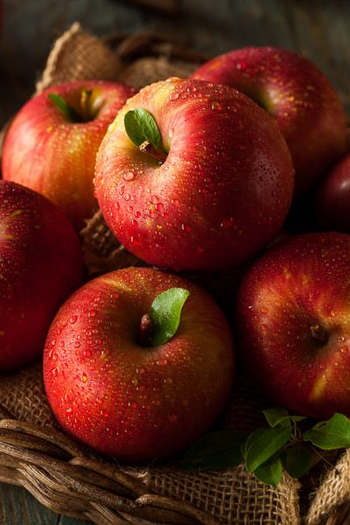  APPLE - [MyStory]