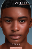 VELOUR HOMME: CEZAR Skin for EVO X (FATPACK)