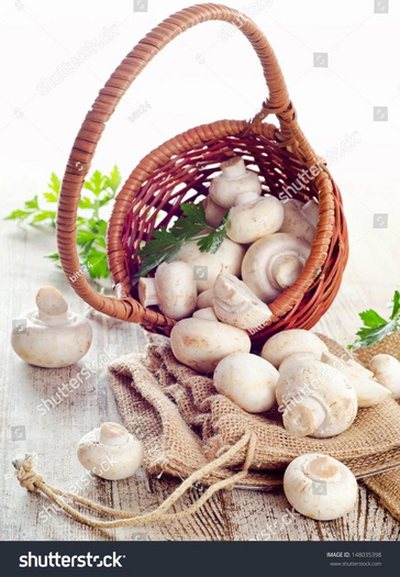 MUSHROOM - [MyStory]